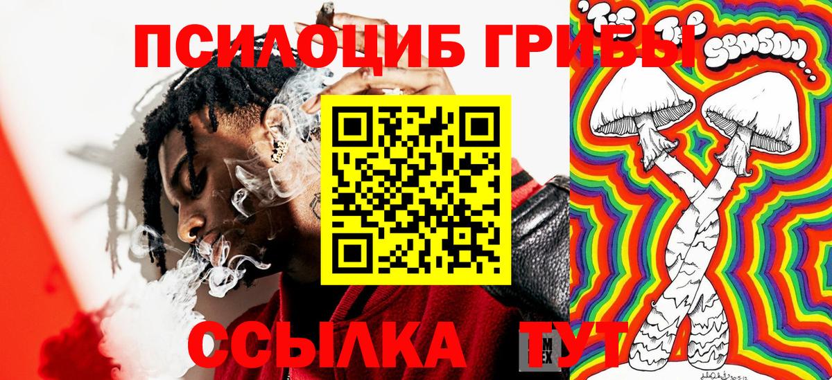 Псилоцибиновые грибы Cubensis Электрогорск