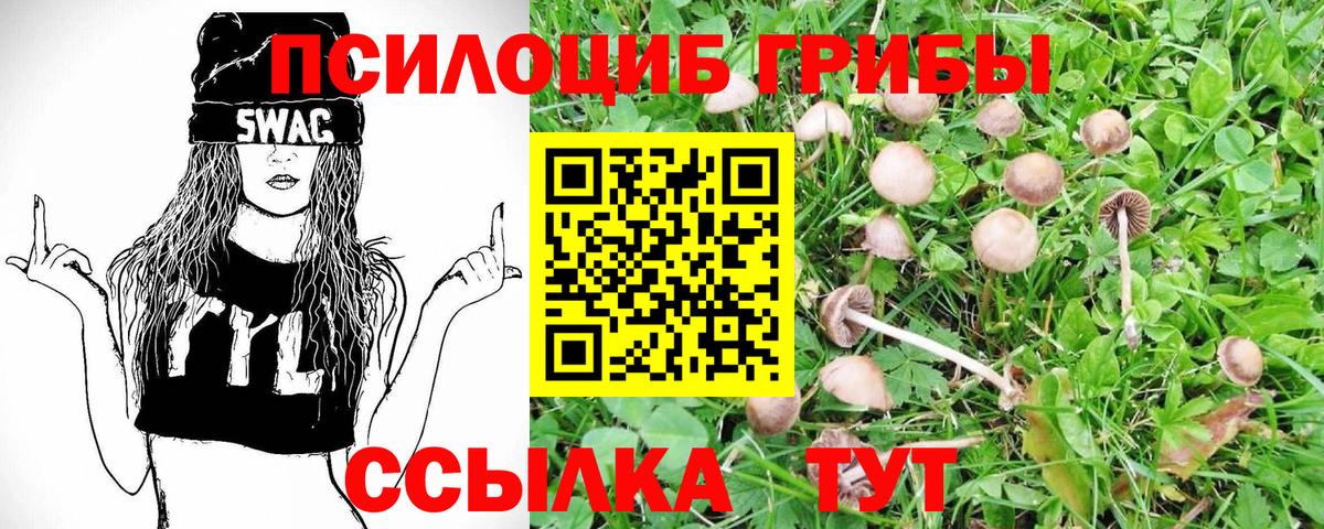 Псилоцибиновые грибы MAGIC MUSHROOMS  Псилоцибиновые грибы ЛСД  Вход с VPN  Электрогорск 
